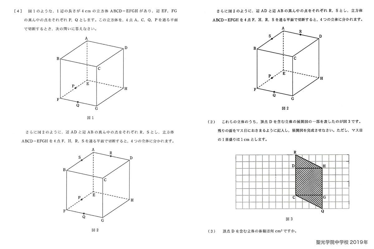 サピックス 立体切断確認テスト（まとめ-切断面の形-プリント付き 